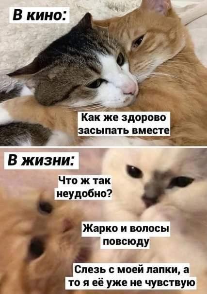 картинка 6a9f0f44ac 000000000