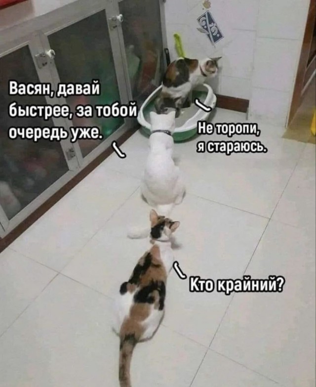 Среда — это маленькая пятница, а значит, пора выдохнуть! 🥂 Середина, поднимут, пролетит, пусть, коллегами, делитесь, смейтесь, улыбкойЛистайте, выходных, дотянуть, помогут, настроение, точно, недели, которые, мемов, отборных, порцию, Собрали, приятнее
