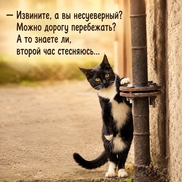 картинка 6dd2b6663e 21129481