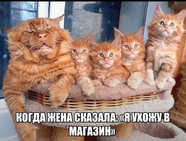 Устали от серых будней? У нас есть «лекарство»! 💊 Устали от серых будней? У нас есть «лекарство»! 💊 Друзья, сохраняйте, абсурдного, юмора, которого, сводит, скулы, Листайте, делитесь, которых, нужен, заряд, позитива👇, Заряжаемся, хорошим, настроением, прямо, узнаешь, ситуаций, знаем