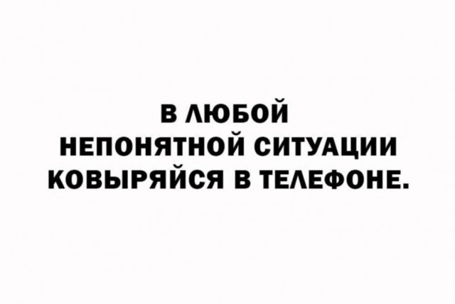 картинка 6e935b0a1f 21061250
