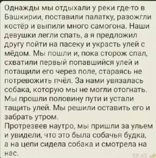 картинка 73463ffe1c 21107489