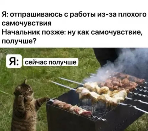 картинка 737a525870 21159537