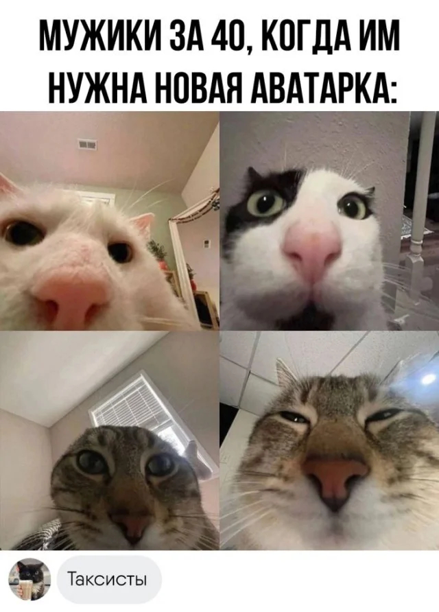 Готовы к дозе позитива? Держите подборку интернет‑юмора — пусть день станет чуточку веселее! 😄 Представляем, здесь, голосПредыдущая, смеяться, Приготовьтесь, настроение, поднимет, гарантированно, который, отборный, скуке, вашему, Забудьте, интернета, глубин, прямиком, комментариев, мемов, подборку, огромную