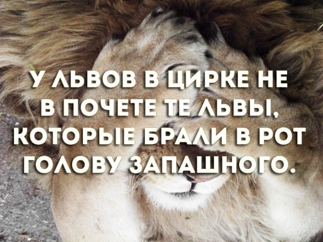 картинка 7ae0196344 21112033