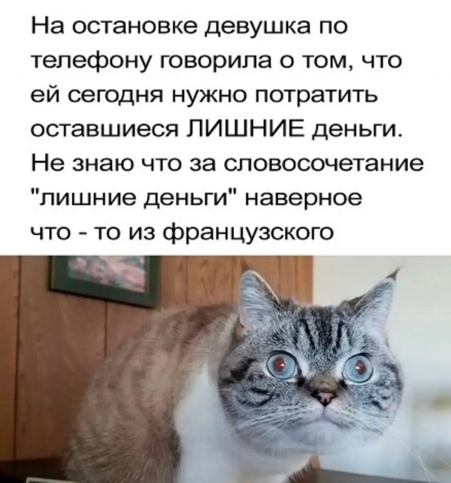 Среда — это маленькая пятница, а значит, пора выдохнуть! 🥂 Середина, поднимут, пролетит, пусть, коллегами, делитесь, смейтесь, улыбкойЛистайте, выходных, дотянуть, помогут, настроение, точно, недели, которые, мемов, отборных, порцию, Собрали, приятнее