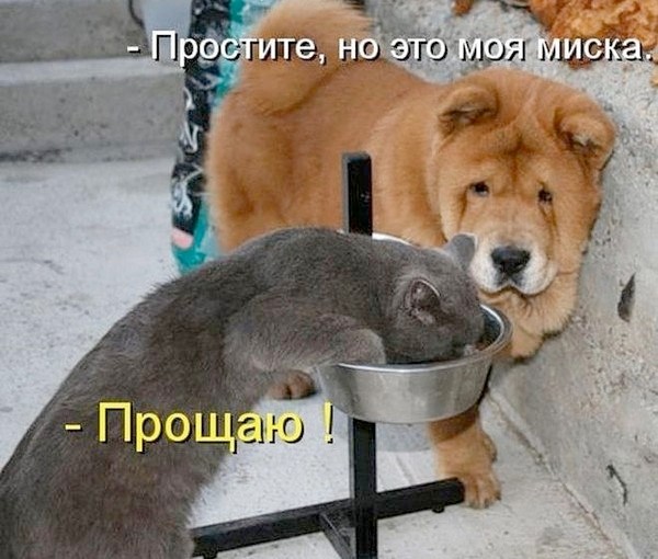 Устали от серых будней? У нас есть «лекарство»! 💊 Устали от серых будней? У нас есть «лекарство»! 💊 Друзья, сохраняйте, абсурдного, юмора, которого, сводит, скулы, Листайте, делитесь, которых, нужен, заряд, позитива👇, Заряжаемся, хорошим, настроением, прямо, узнаешь, ситуаций, знаем