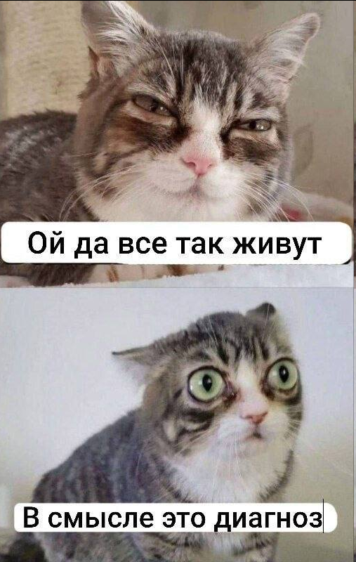 картинка 8266d4c848 0000000