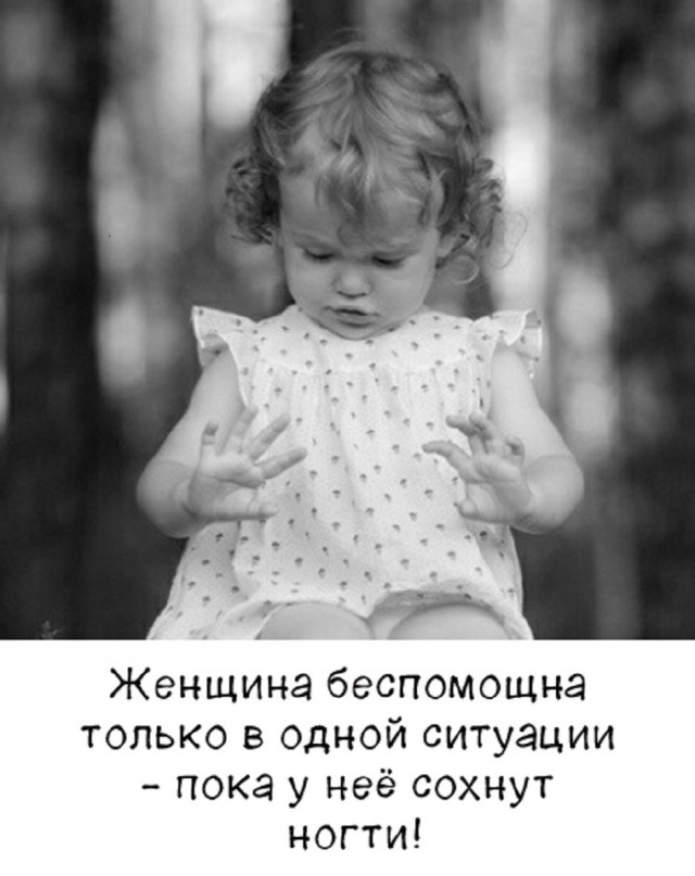 картинка 82e209493f 21129446