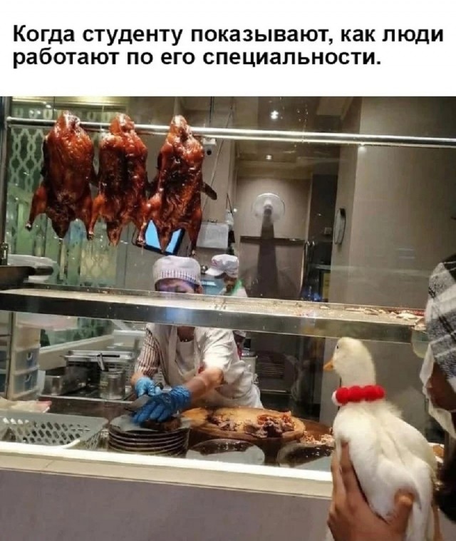 картинка 833e5c5be2 21119084