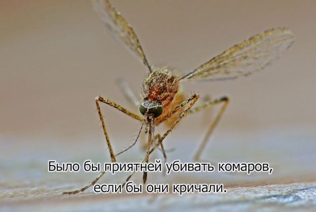 картинка 855d900448 ostorozhno dalshe budet ochen smeshno no tolko dlja teh kto cenit chernyj jumor 15