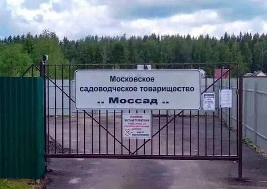 картинка 87375f4248 21091686