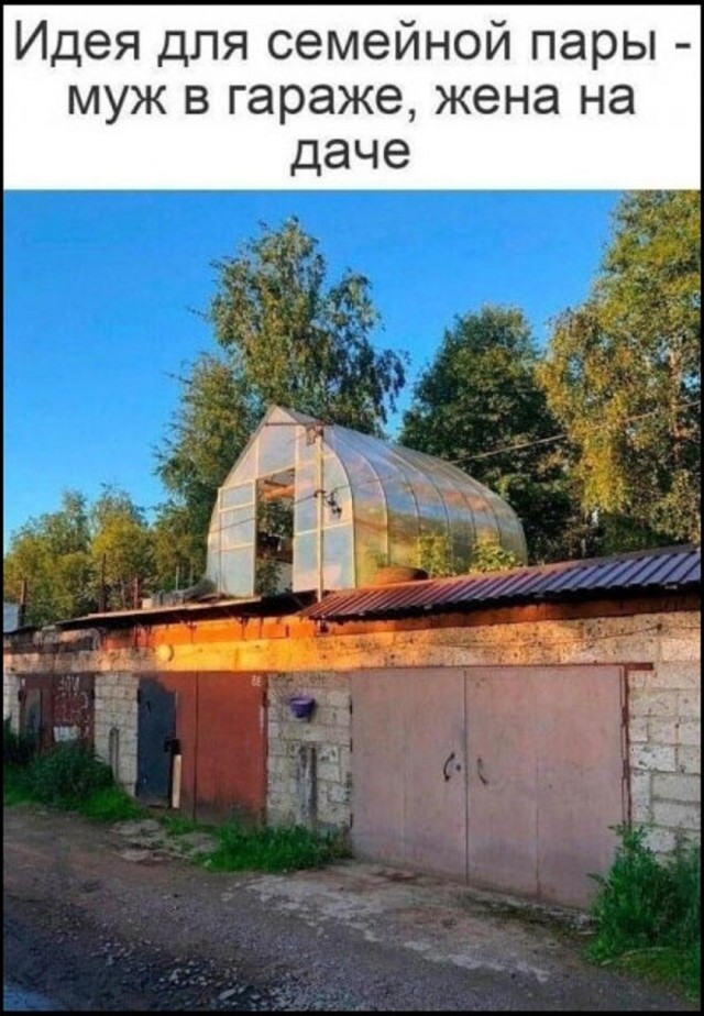 картинка 8865cbf674 21129464