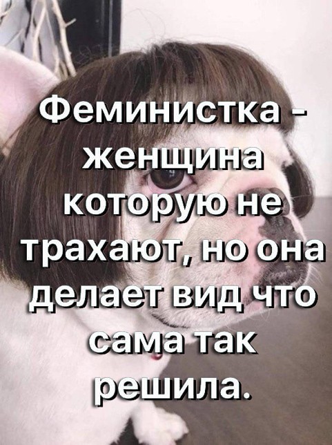 картинка 8b8342c64d ostorozhno dalshe budet ochen smeshno no tolko dlja teh kto cenit chernyj jumor 14