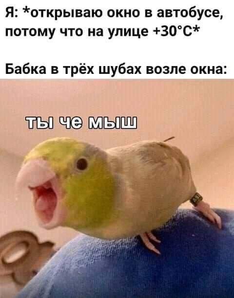 картинка 8ca651393a 21112036