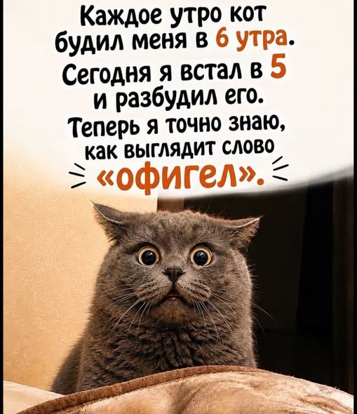 картинка 8ec0739cdb 21121783