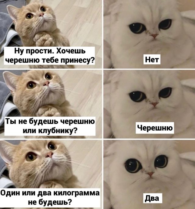 картинка 8f6e5919e4 21076333