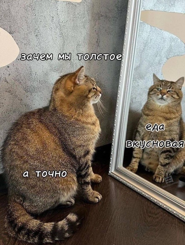 картинка 9013f17777 21077240