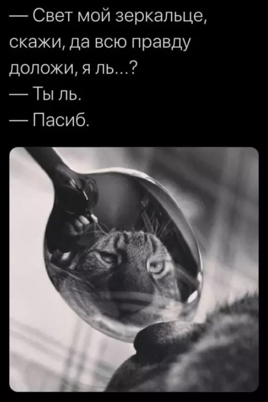 Улыбнись этому дню! Сборник самых смешных мемов и прикольных картинок для твоего позитива! которые, точно, заставят, самые, уморительных, собрали, чтобы, сказать, абсурдный, повороты, интерпретациюНеожиданные, смешную, подарили, каждым, происходят, моменты, бывает, юмораСитуации, когда, шедевр