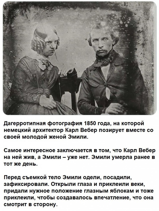 картинка 91b1ac1042 21091741