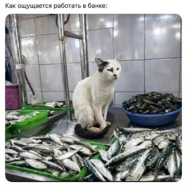 картинка 924efc8878 21119175