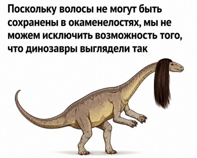 картинка 9328a859d8 21106683