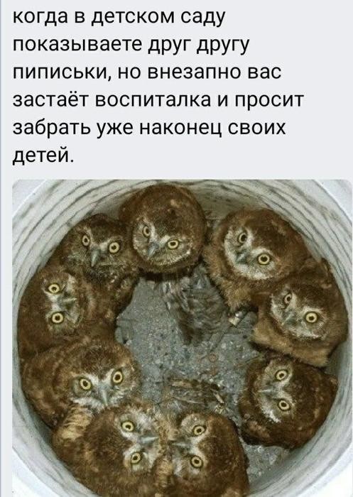 Ваша доза хорошего настроения на выходные ☕️✨ Ваша доза хорошего настроения на выходные ☕️✨ Рабочая, свежую, заряжаться, погнали, поудобнее, устраивайтесь, покрепче, Заваривайте, улыбнуться, заставят, точно, которые, мемов, отборных, порцию, васСобрали, неделя, сделали, контента, годного