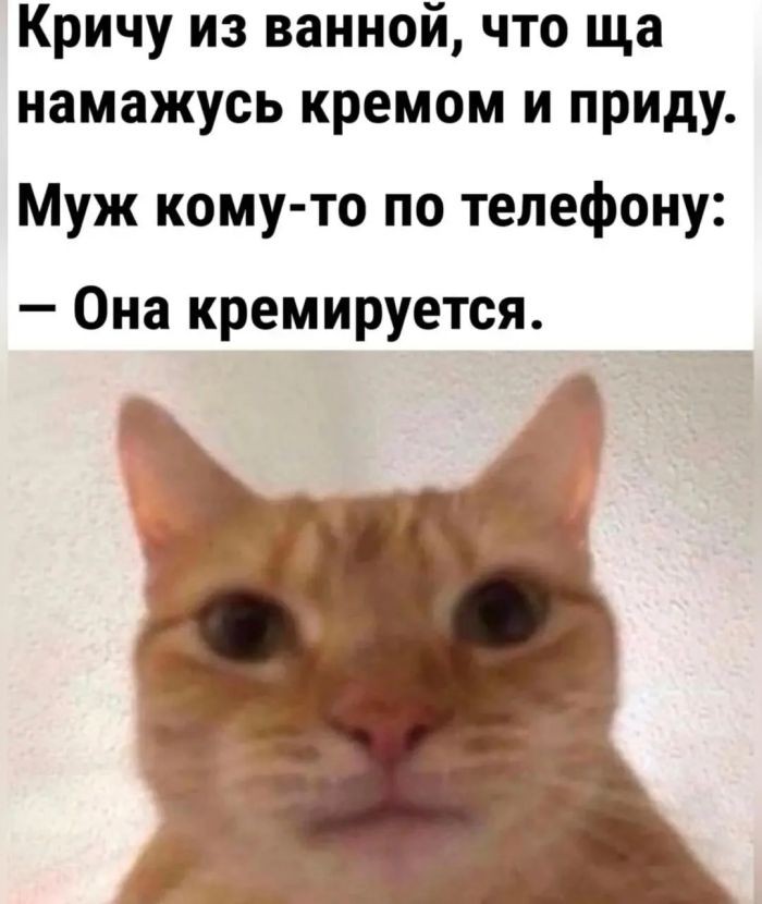 картинка 9457634ccb sbornik pozitiva shutki memy i kartinki chtoby den stal chutochku luchshe 3