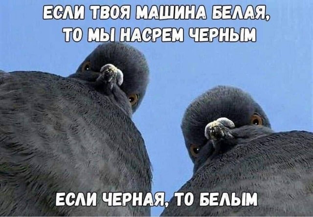 Улыбнись этому дню! Сборник самых смешных мемов и прикольных картинок для твоего позитива! которые, точно, заставят, самые, уморительных, собрали, чтобы, сказать, абсурдный, повороты, интерпретациюНеожиданные, смешную, подарили, каждым, происходят, моменты, бывает, юмораСитуации, когда, шедевр