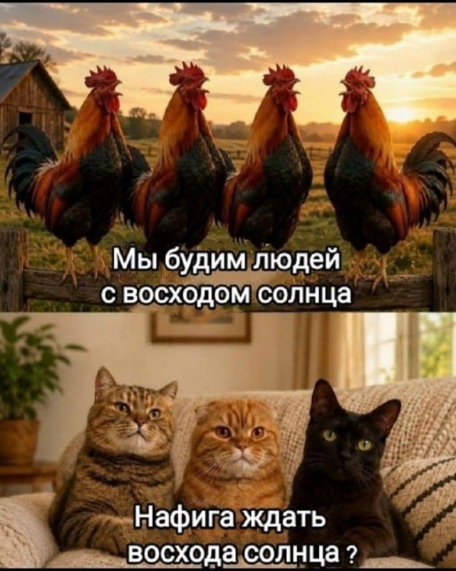 картинка 960c65b98a 21107618