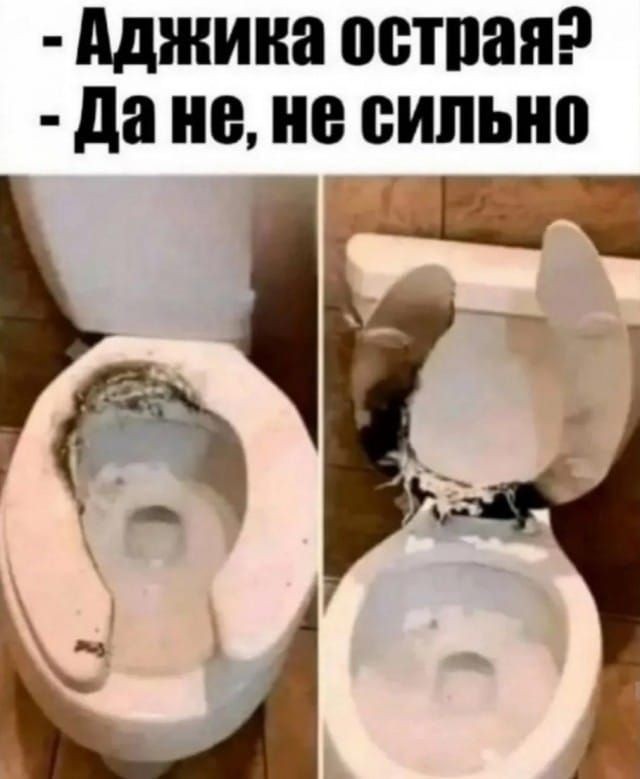 картинка 97286d18c8 21091390
