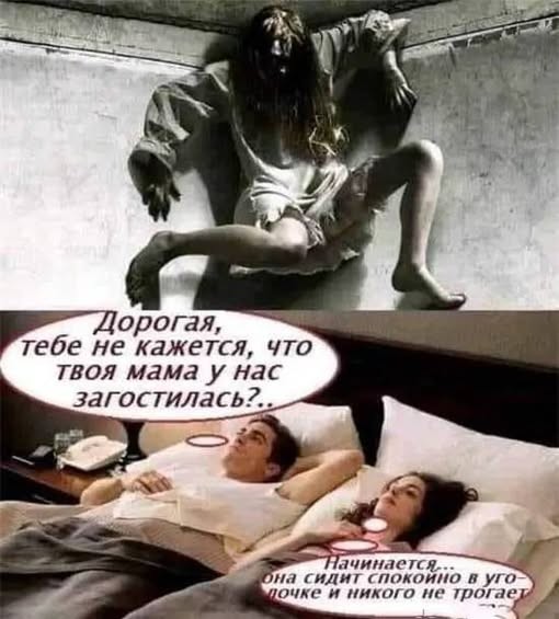 картинка 973365ee4d 21119148