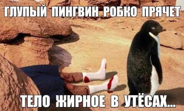 картинка 9856ff201a ostorozhno uroven cinizma zashkalivaet 15
