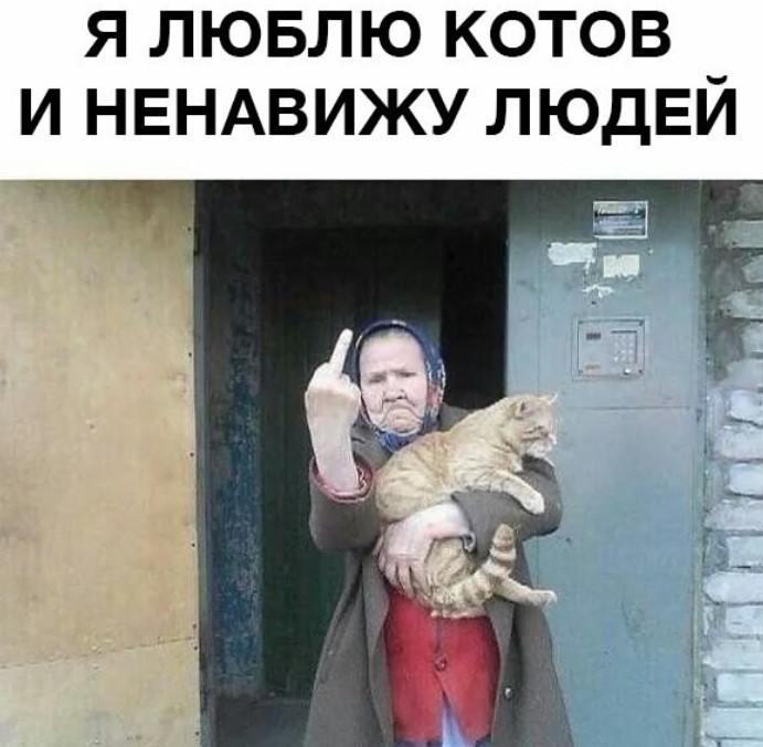 картинка 9bbc4a61fc 21099769