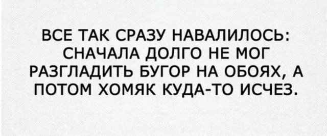 картинка 9e908d148c 21108044