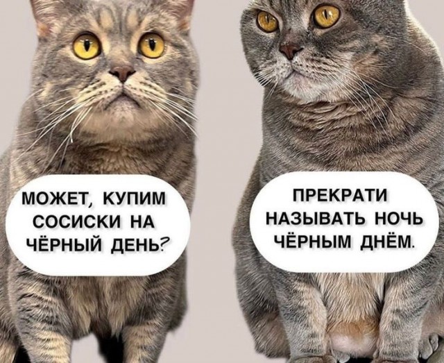 картинка 9fe5448199 21091369