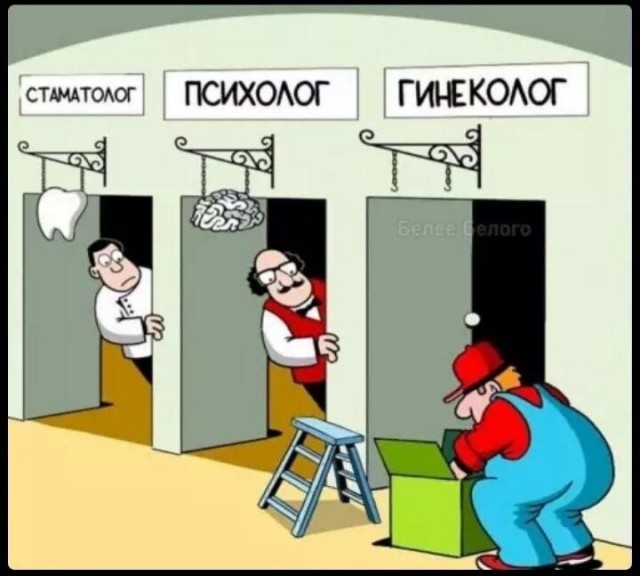 картинка a21a211447 21091729