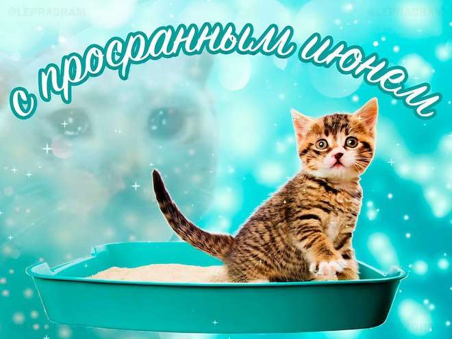 Готовы к дозе позитива? Держите подборку интернет‑юмора — пусть день станет чуточку веселее! 😄 Представляем, здесь, голосПредыдущая, смеяться, Приготовьтесь, настроение, поднимет, гарантированно, который, отборный, скуке, вашему, Забудьте, интернета, глубин, прямиком, комментариев, мемов, подборку, огромную