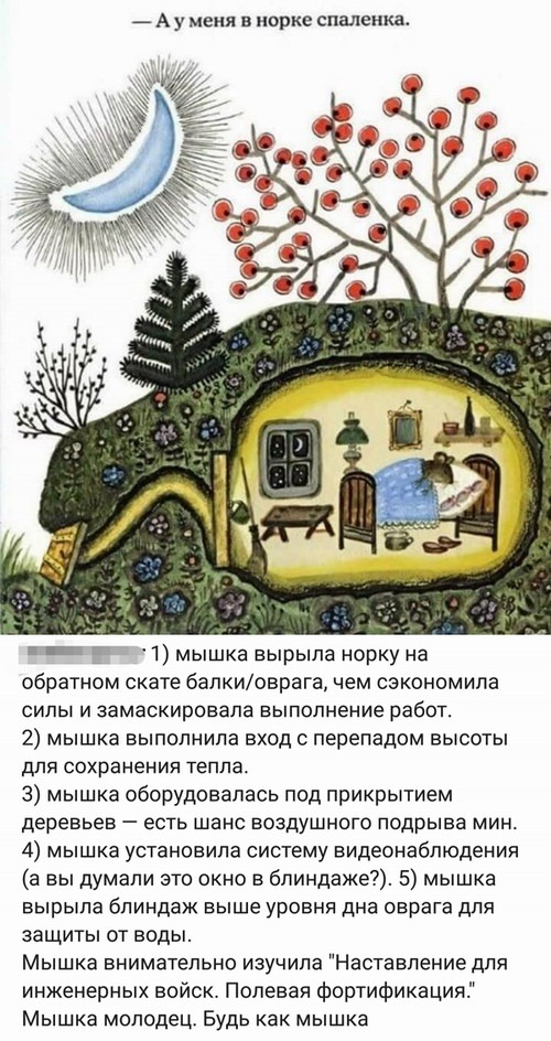 картинка aa0b2fb7aa 21106689