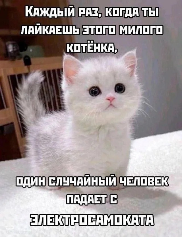 картинка aa4330e6fe 21063730