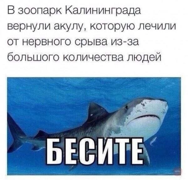 картинка aba17fa287 21091763