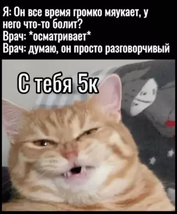 Понедельник — день тяжелый? Только если вы не решили начать его с порции хорошего настроения! ☕️✨ Понедельник — день тяжелый? Только если вы не решили начать его с порции хорошего настроения! ☕️✨ сегодня, знаем, смейтесь, Надеемся, помогут, выдохнуть, улыбнуться, настроиться, продуктивный, легкий, ладЛистайте, карусель, помните, начале, пятницы, осталось, всего, какой, Делитесь, комментариях