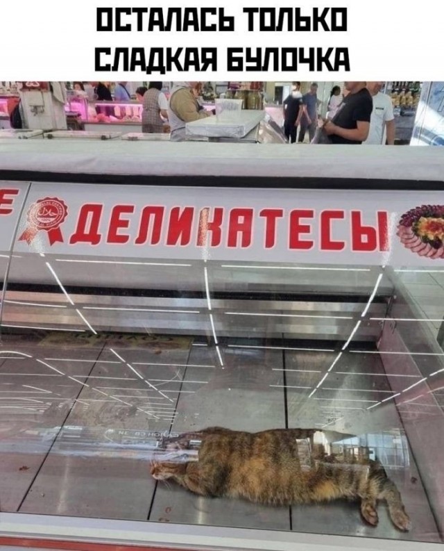 картинка ac836636ec 21076323