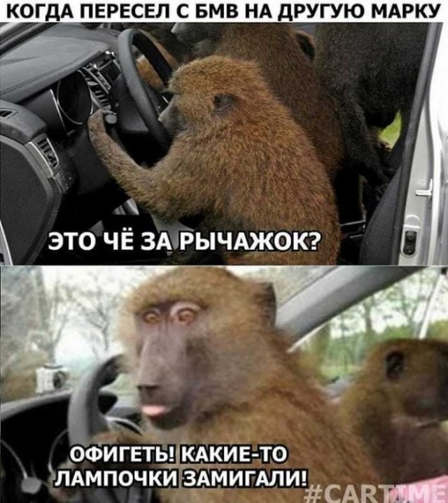 картинка ad4d59b8c0 21107437
