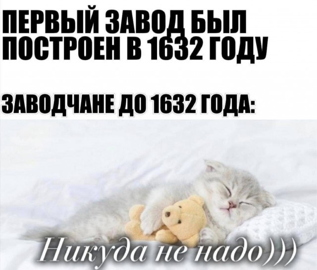 картинка ad7ec23250 21076402