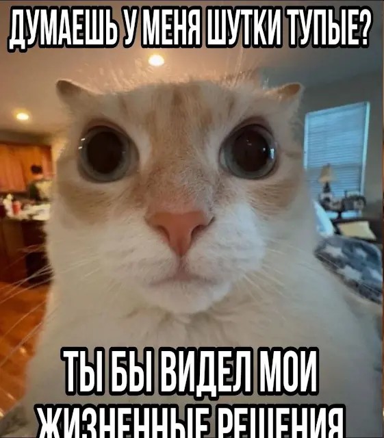 картинка b02935d01c mama govorila chto tak shutit nelzja znachit my vse delaem pravilno 22