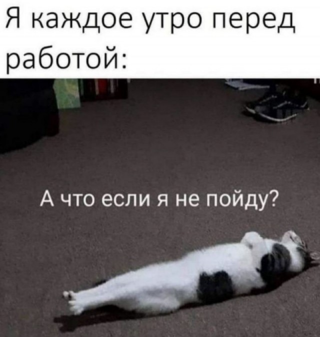 картинка b1b8ff383b 21091299