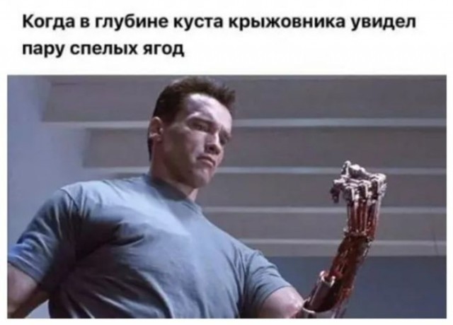 картинка b3e015658a 21076107