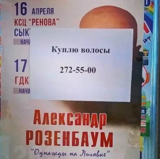 картинка b45931a153 21088239