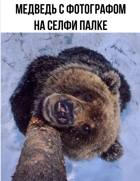 картинка b646151b8b 1783142491